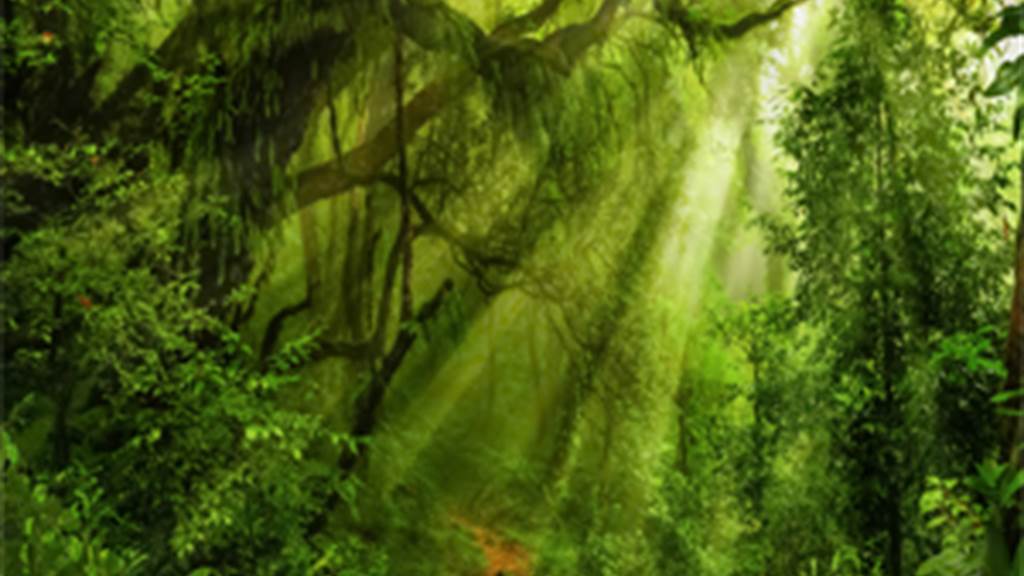 JUNGLE