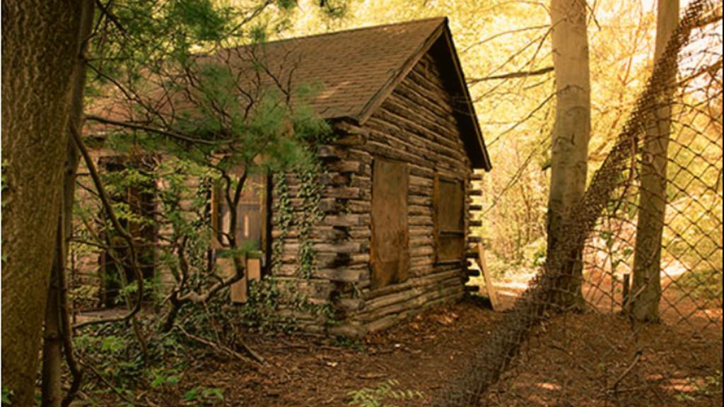 The Cabin in the Woods
