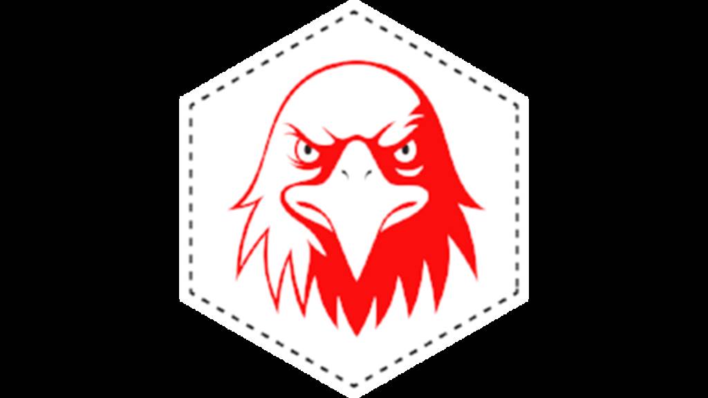 OPERATION LONE EAGLE
