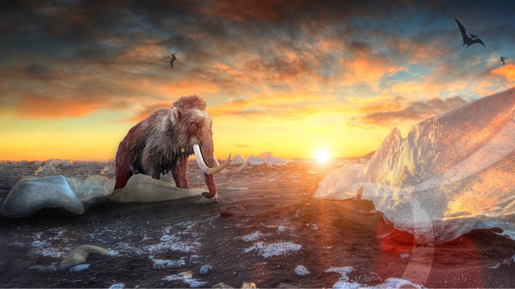 Frozen in Time