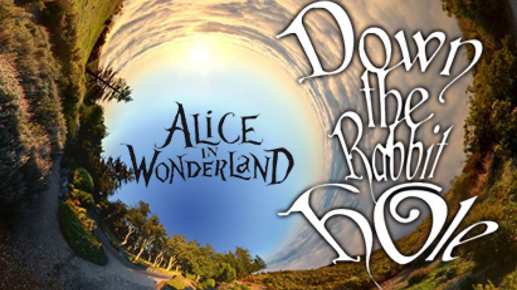 DOWN THE RABBIT HOLE