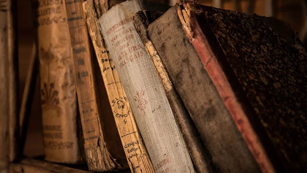 Mr Borrowdale's Study