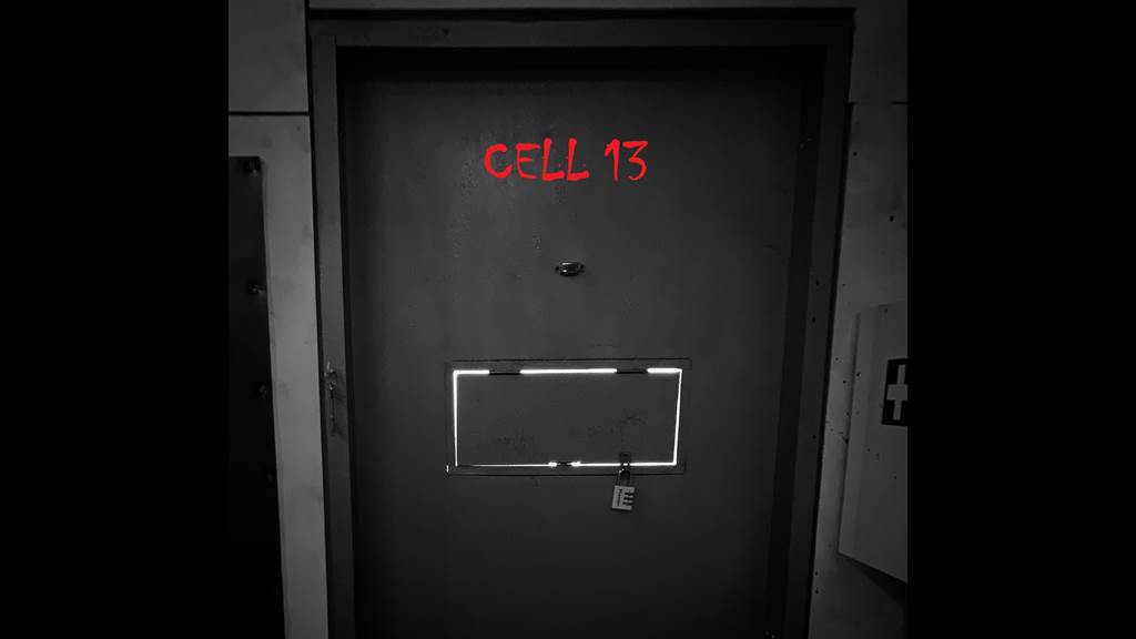 Cell 13