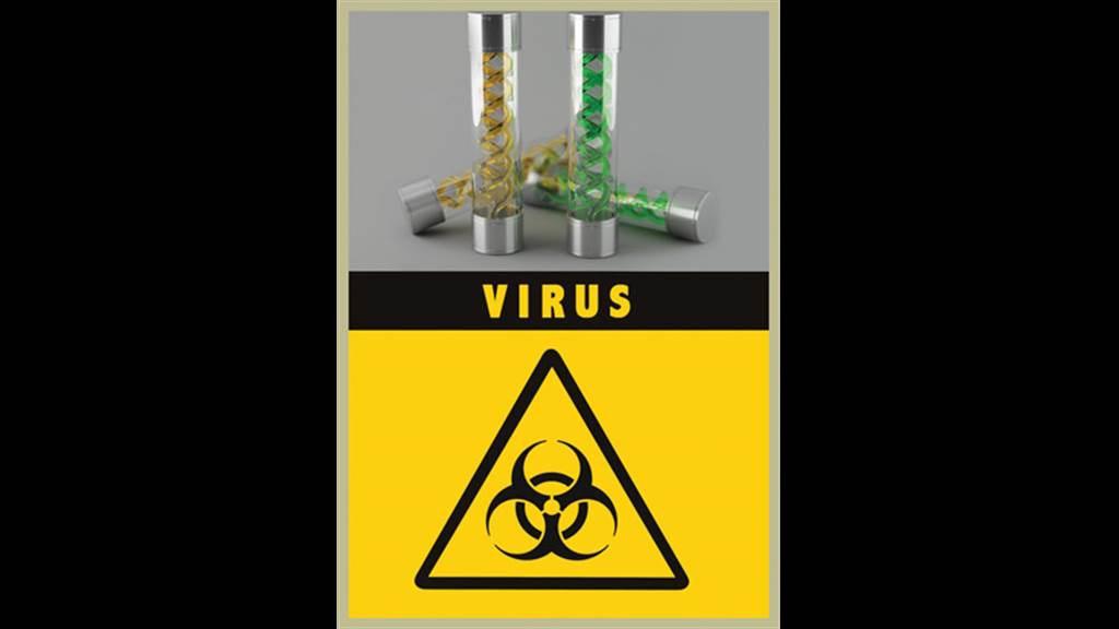Virus
