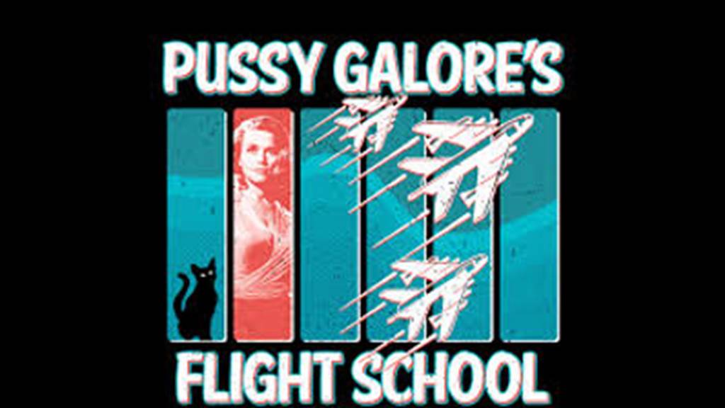 P G'S FLIGHT SCHOOL
