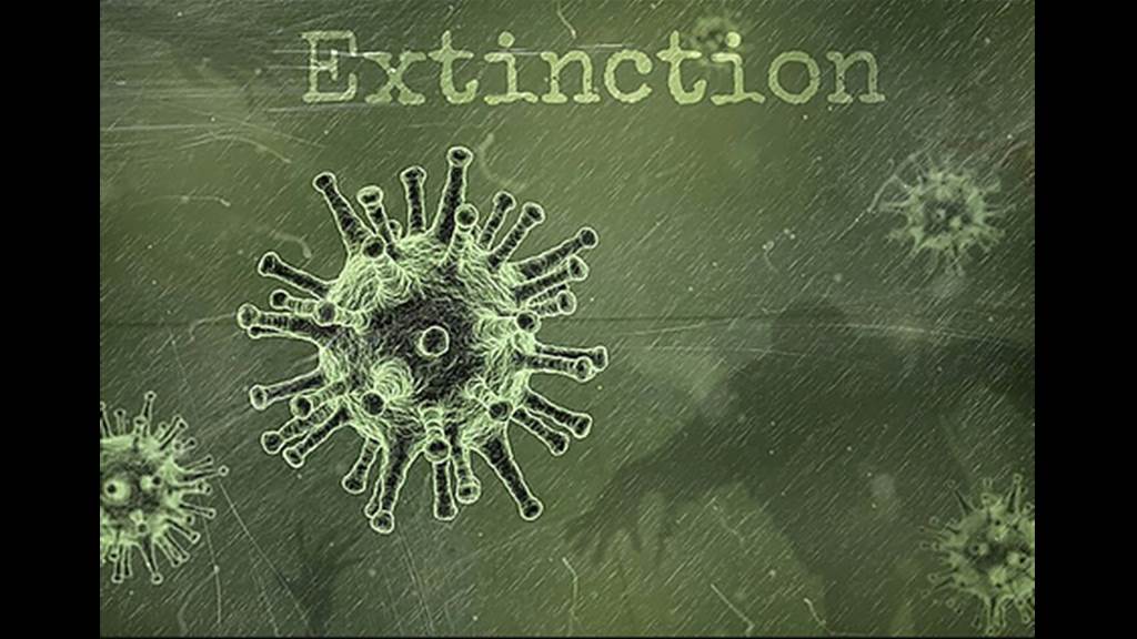 Extinction